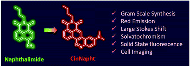 Graphical abstract: “CinNapht” dyes: a new cinnoline/naphthalimide fused hybrid fluorophore. Synthesis, photo-physical study and use for bio-imaging