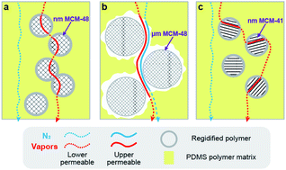 Graphical abstract: Effects of mesoporous silica particle size and pore structure on the performance of polymer-mesoporous silica mixed matrix membranes
