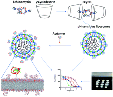 Graphical abstract: Aptamer-functionalized pH-sensitive liposomes for a selective delivery of echinomycin into cancer cells