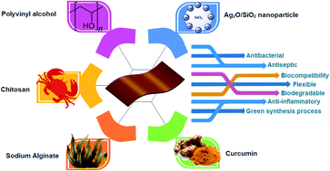 Graphical abstract: Design, preparation, and characterization of CS/PVA/SA hydrogels modified with mesoporous Ag2O/SiO2 and curcumin nanoparticles for green, biocompatible, and antibacterial biopolymer film