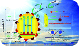 Graphical abstract: Synergism of carbon quantum dots and Au nanoparticles with Bi2MoO6 for activity enhanced photocatalytic oxidative degradation of phenol