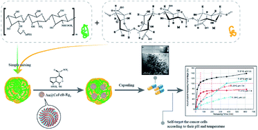 Graphical abstract: Synthesis of nanomedicine hydrogel microcapsules by droplet microfluidic process and their pH and temperature dependent release