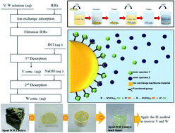 Graphical abstract: Separation of vanadium and tungsten from synthetic and spent catalyst leach solutions using an ion-exchange resin
