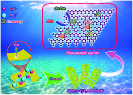 Graphical abstract: In situ synthesis of holey g-C3N4 nanosheets decorated by hydroxyapatite nanospheres as efficient visible light photocatalyst