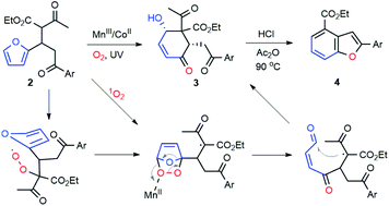 Graphical abstract: Furan oxidation by Mn(iii)/Co(ii) catalysts – application to benzofuran synthesis