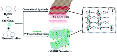 Graphical abstract: Polyvinylpyrrolidone-assisted synthesis of highly water-stable cadmium-based metal–organic framework nanosheets for the detection of metronidazole