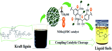 Graphical abstract: Production of liquid fuels from Kraft lignin over bimetallic Ni–Mo supported on ZIF-derived porous carbon catalyst