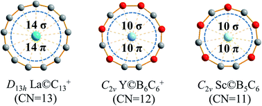 Graphical abstract: Metal-centered monocyclic carbon wheel clusters with record coordination numbers in planar species