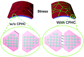 Graphical abstract: Improved efficiency and stability of flexible perovskite solar cells by a new spacer cation additive