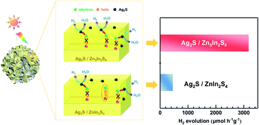 Graphical abstract: Effect of anisotropic conductivity of Ag2S-modified ZnmIn2S3+m (m = 1, 5) on the photocatalytic properties in solar hydrogen evolution