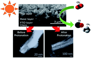 Graphical abstract: Hierarchical hyper-branched titania nanorods with tuneable selectivity for CO2 photoreduction