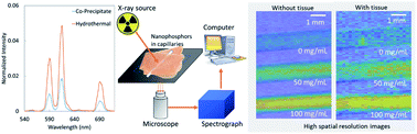 Graphical abstract: X-ray excited luminescence spectroscopy and imaging with NaGdF4:Eu and Tb