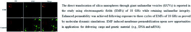 Graphical abstract: Translocation of silica nanospheres through giant unilamellar vesicles (GUVs) induced by a high frequency electromagnetic field