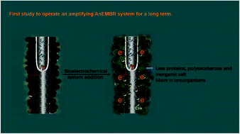 Graphical abstract: Effect of applied voltage on membrane fouling in the amplifying anaerobic electrochemical membrane bioreactor for long-term operation