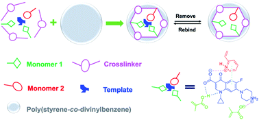 Graphical abstract: Co-precipitation polymerization of dual functional monomers and polystyrene-co-divinylbenzene for ciprofloxacin imprinted polymer preparation