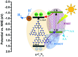 Graphical abstract: A dual polymer composite of poly(3-hexylthiophene) and poly(3,4-ethylenedioxythiophene) hybrid surface heterojunction with g-C3N4 for enhanced photocatalytic hydrogen evolution