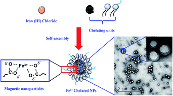 Graphical abstract: Iron(iii) chelated paramagnetic polymeric nanoparticle formulation as a next-generation T1-weighted MRI contrast agent