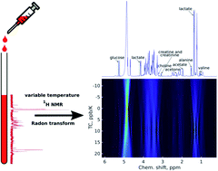 Graphical abstract: Variable-temperature NMR spectroscopy for metabolite identification in biological materials