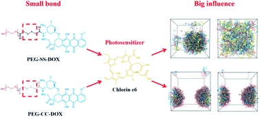 Graphical abstract: Disulfur-bridged polyethyleneglycol/DOX nanoparticles for the encapsulation of photosensitive drugs: a case of computational simulations on the redox-responsive chemo-photodynamic drug delivery system