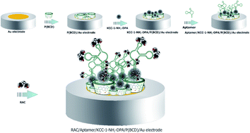 Graphical abstract: d-Penicillamine functionalized dendritic fibrous nanosilica (DFNS-DPA): synthesise and its application as an innovative advanced nanomaterial towards sensitive quantification of ractopamine