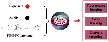 Graphical abstract: A novel multimodal nanoplatform for targeting tumor necrosis