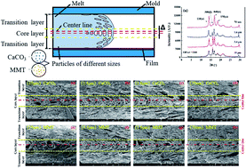 Graphical abstract: Effects of inorganic particles on the crystallization, mechanical properties and cellular structure of foamed PP composites in the IMD/MIM process