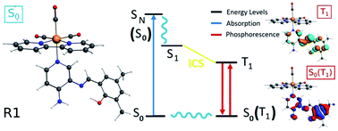 Graphical abstract: The role of substituted pyridine Schiff bases as ancillary ligands in the optical properties of a new series of fac-rhenium(i) tricarbonyl complexes: a theoretical view