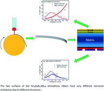 Graphical abstract: Corrosion comparison of free and roller surfaces of Fe70Si8B12Nb10 amorphous ribbon