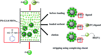 Graphical abstract: Phosphorous-functionalized PAMAM dendrimers supported on mesoporous silica for Zr(iv) and Hf(iv) separation