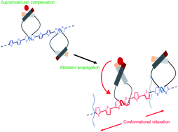 Graphical abstract: The factors that govern the allosteric chemical sensing of polythiophene chemosensors: scope and limitation toward signal-amplification sensing