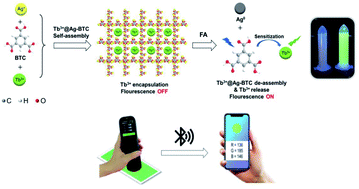 Graphical abstract: Tb3+-Doped Ag-MOFs for fluorescent detection of formaldehyde in a novel smartphone platform and its removal applications in milk products and wastewater