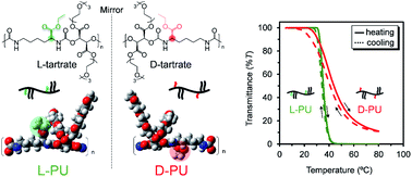 Graphical abstract: Remarkable diastereomeric effect on thermoresponsive behavior of polyurethane based on lysine and tartrate ester derivatives