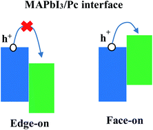 Graphical abstract: The impact of molecular orientation on carrier transfer characteristics at a phthalocyanine and halide perovskite interface