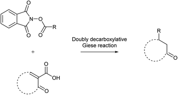 Graphical abstract: Visible-light synthesis of 4-substituted-chroman-2-ones and 2-substituted-chroman-4-ones via doubly decarboxylative Giese reaction