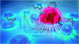 Graphical abstract: Synthesis and cytotoxicity against tumor cells of pincer N-heterocyclic ligands and their transition metal complexes