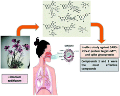 Graphical abstract: Chemical constituents from Limonium tubiflorum and their in silico evaluation as potential antiviral agents against SARS-CoV-2