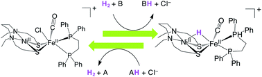 Graphical abstract: H2 activation by hydrogenase-inspired NiFe catalyst using frustrated Lewis pair: effect of buffer and halide ion in the heterolytic H–H bond cleavage