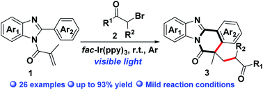 Graphical abstract: Visible-light-driven cascade radical cyclization toward the synthesis of α-carbonyl alkyl-substituted benzimidazo[2,1-a]isoquinolin-6(5H)-one derivatives