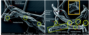 Graphical abstract: A novel characterisation approach to reveal the mechano–chemical effects of oxidation and dynamic distension on polypropylene surgical mesh