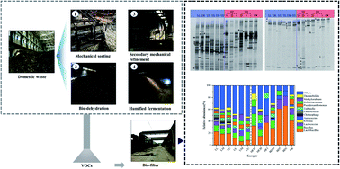 Graphical abstract: Succession of the microbial community during the process of mechanical and biological pretreatment coupled with a bio-filter for removal of VOCs derived from domestic waste: a field study