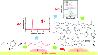 Graphical abstract: Towards understanding of electrolyte degradation in lithium-mediated non-aqueous electrochemical ammonia synthesis with gas chromatography-mass spectrometry