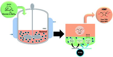 Graphical abstract: Tuning Brønsted and Lewis acidity on phosphated titanium dioxides for efficient conversion of glucose to 5-hydroxymethylfurfural