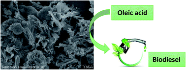 Graphical abstract: Construction of a Keggin heteropolyacid/Ni-MOF catalyst for esterification of fatty acids