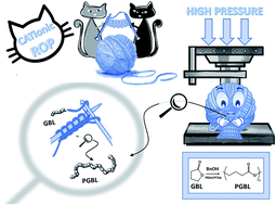 Graphical abstract: High pressure as a novel tool for the cationic ROP of γ-butyrolactone