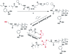 Graphical abstract: Block copolymer synthesis using free-radical polymerization and thiol–maleimide ‘click’ conjugation