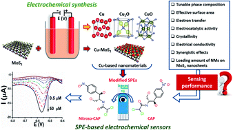 Graphical abstract: Enhancing the chloramphenicol sensing performance of Cu–MoS2 nanocomposite-based electrochemical nanosensors: roles of phase composition and copper loading amount