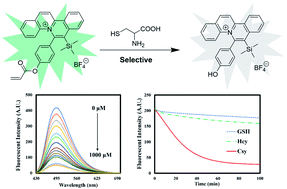 Graphical abstract: A highly selective quinolizinium-based fluorescent probe for cysteine detection