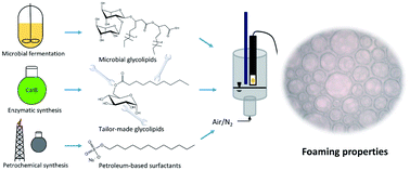 Graphical abstract: Comparative study on interfacial and foaming properties of glycolipids in relation to the gas applied for foam generation