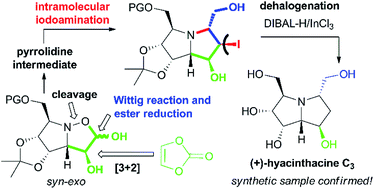 Graphical abstract: New total synthesis and structure confirmation of putative (+)-hyacinthacine C3 and (+)-5-epi-hyacinthacine C3
