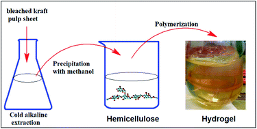 Graphical abstract: Hydrogels derived from galactoglucomannan hemicellulose with inorganic contaminant removal properties
